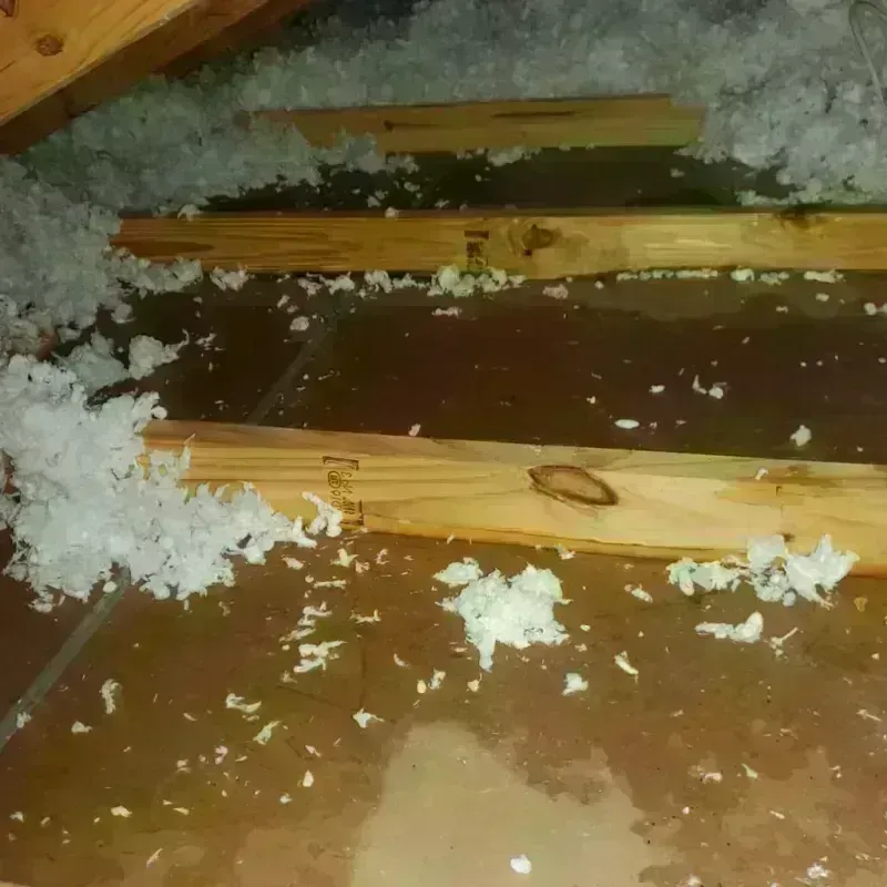 Attic Water Damage in Sweeny, TX